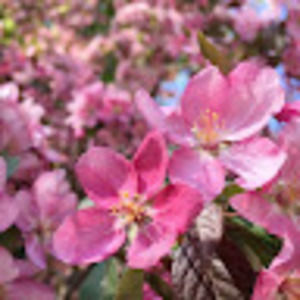 Meet your Posher, Estelle